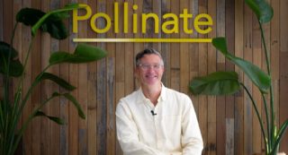 Pollinate Pulse