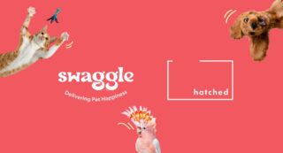 Hatched - Swaggle